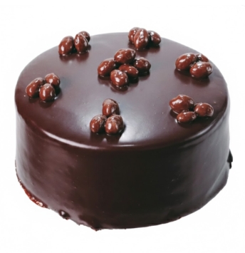 6-9 Kişilik Çikolatalı Butik Lezzet Serisi Tat Antalya pasta